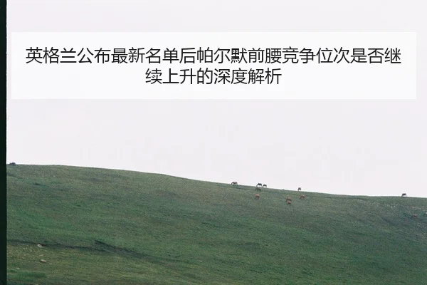 英格兰公布最新名单后帕尔默前腰竞争位次是否继续上升的深度解析