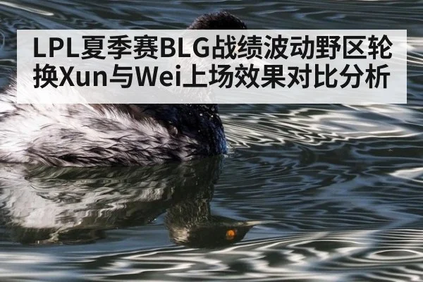 LPL夏季赛BLG战绩波动野区轮换Xun与Wei上场效果对比分析